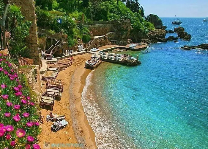 Zenia * Antalya