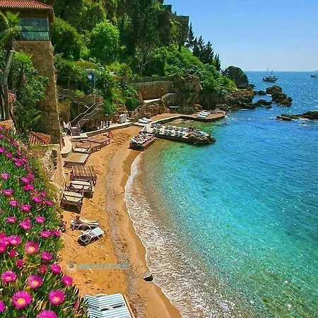Zenia * أنطاليا